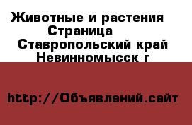  Животные и растения - Страница 24 . Ставропольский край,Невинномысск г.